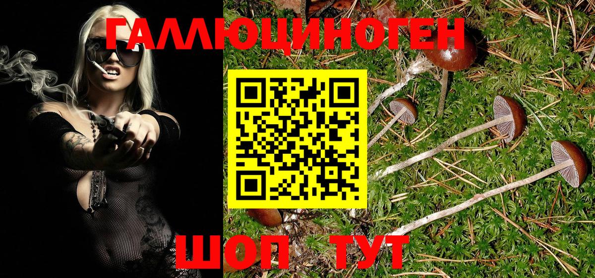 Псилоцибиновые грибы мухоморы  Псилоцибиновые грибы MAGIC MUSHROOMS  Вход с VPN  Коряжма 